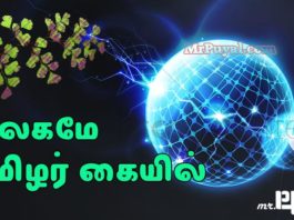 அ இலை