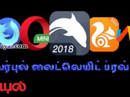 lightweight browsers, லைட்வெயிட் ப்ரவசர்