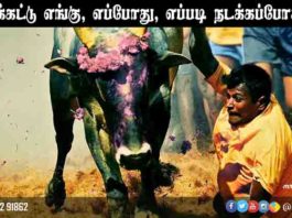 ஜல்லிக்கட்டு