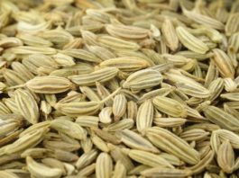 சோம்பு