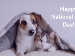National Pet Day