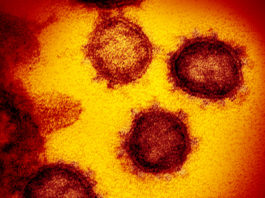 சென்னையில் இன்றும் உச்சத்தில் கொரோனா