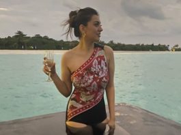 Hansika Motwani Wedding
