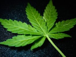 கஞ்சா கடத்திய வழக்கில்