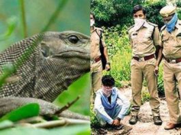 MONITOR_HUNTER_ARRESTED