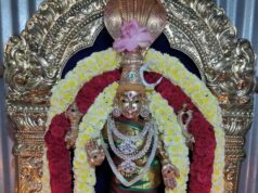 குழந்தை வரம் அருள்வாள் ஸ்ரீ சுயம்பு நாக ஆதிபராசக்தி! சுயம்பு நாக ஆதிபராசக்தி