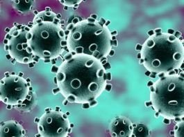 Coronavirus Song